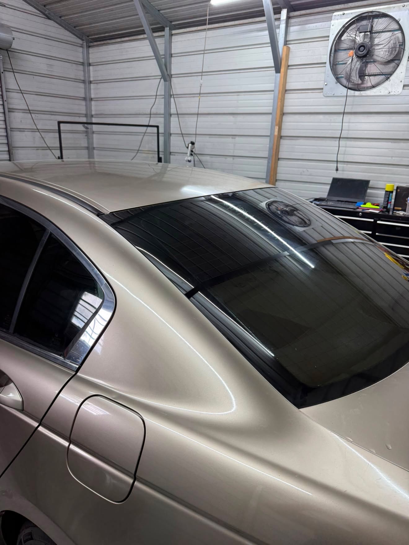 Gold sedan rear window tint